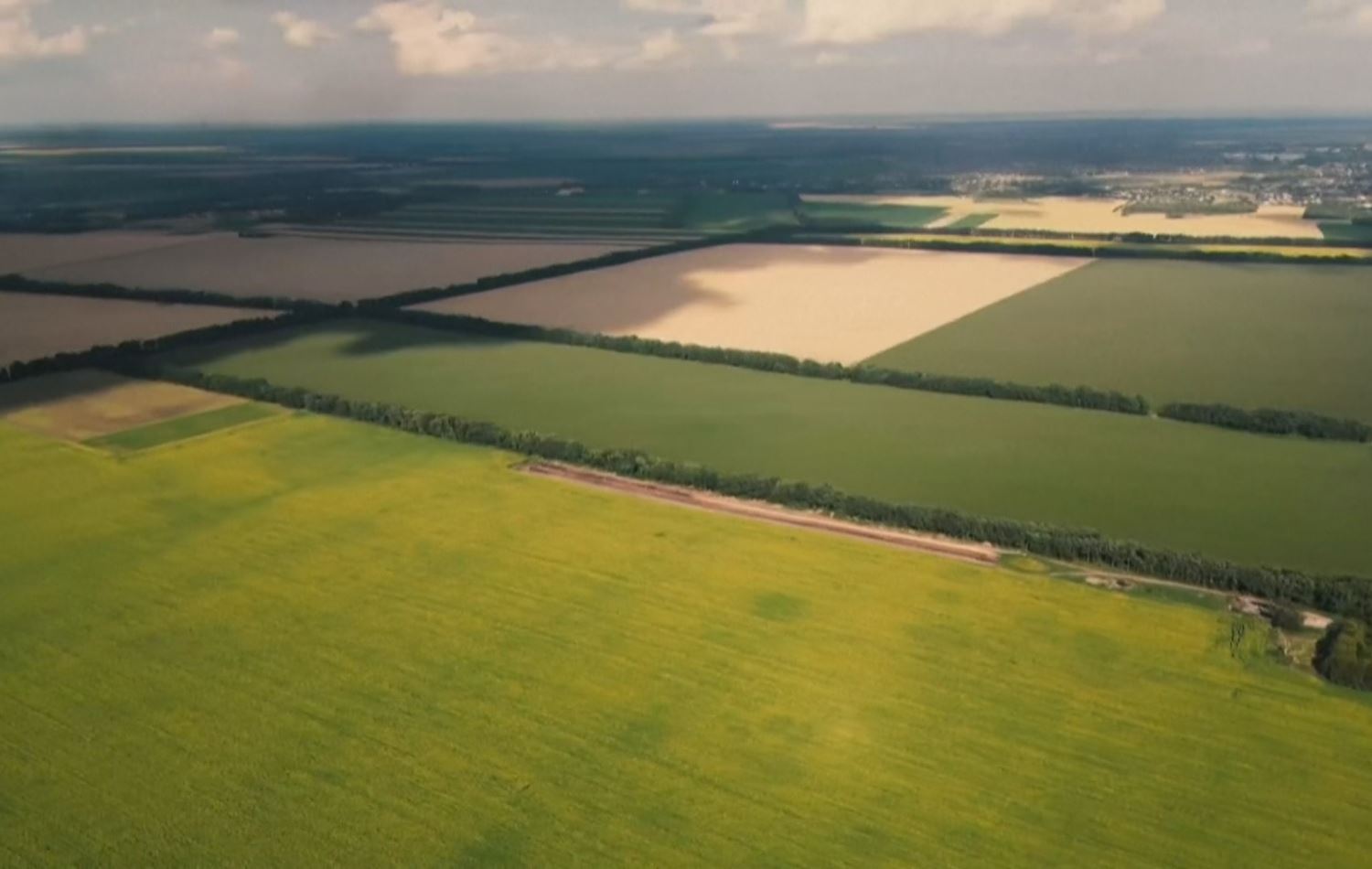 وەستانی رێککەوتنەکە بەڕێژەی 6.7٪ نرخی دانەوێڵەی لە جیهان بەرزکردووەتەوە