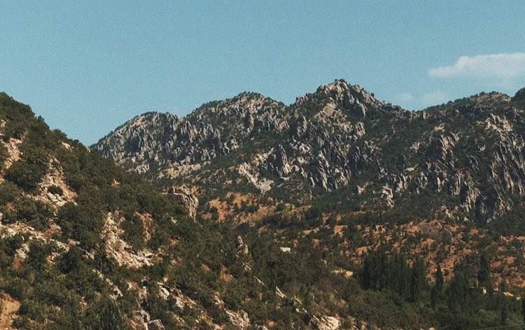 Video alıntısı / Rûdaw