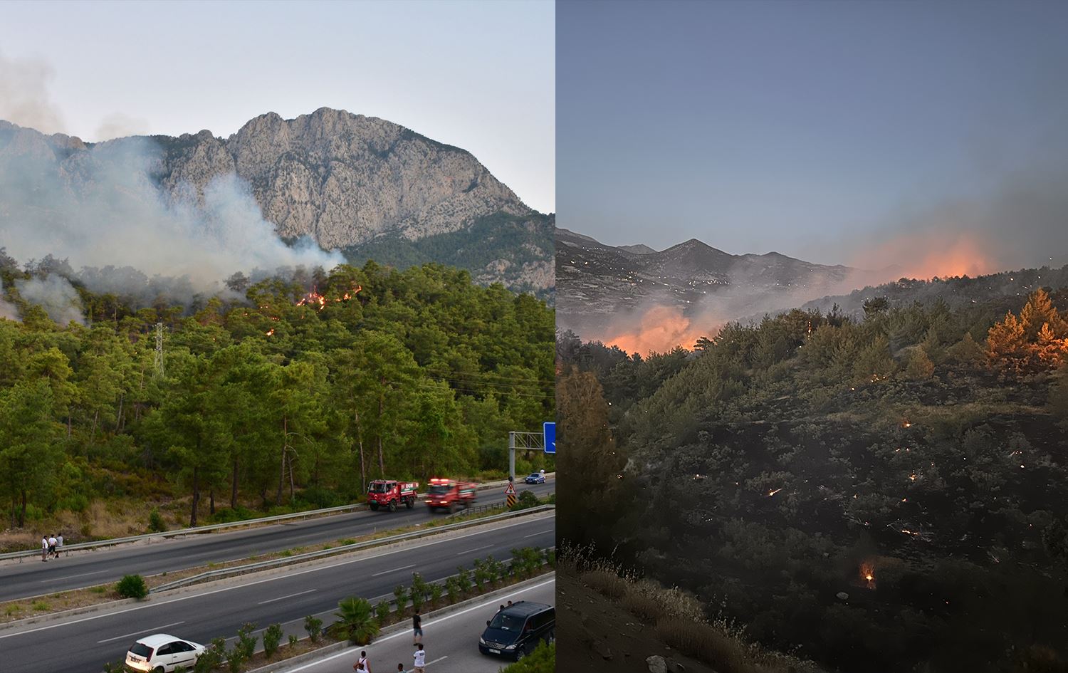 Antalya ve Maraş'ta orman yangını