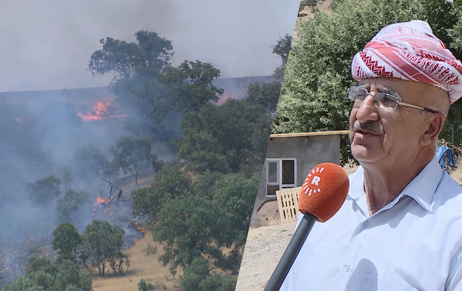 Daristanên Amêdiyê dişewitin: Li ser jiyana mirov û ajelan metirsiyeke cidî heye