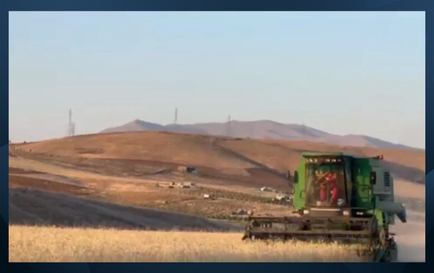 Parêzgariya Sineyê dê 900 hezar ton genim ji cotkaran wergire