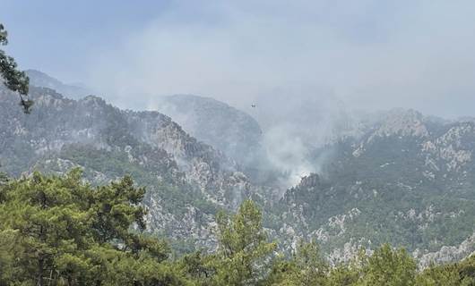 Wildfires destroyed up to 7000 hectares of land in Turkey: Minister