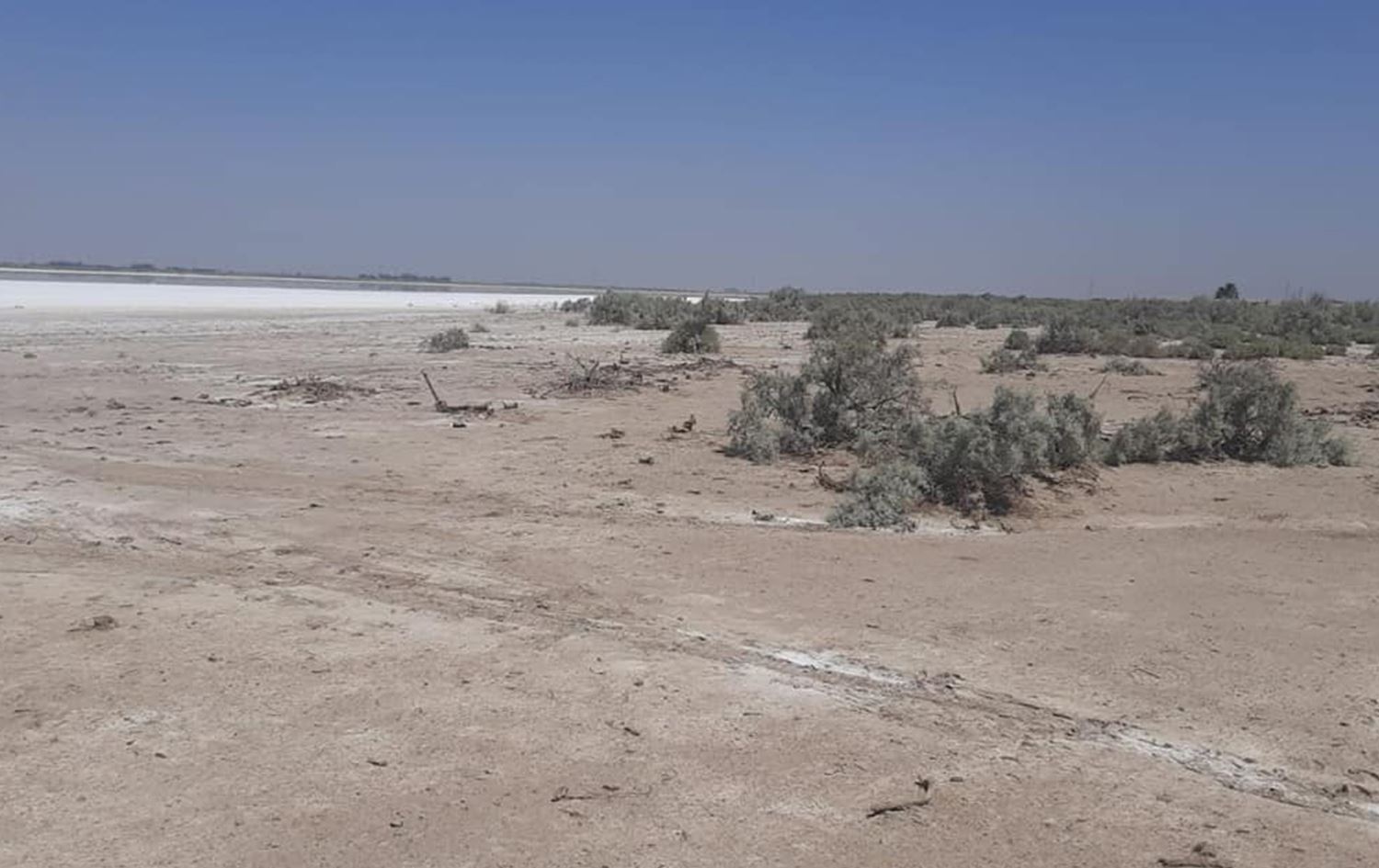 "سلة العراق الغذائية".. واسط ترفض الخطة الزراعية وتحذّر من نتائج كارثية على الفلاحين