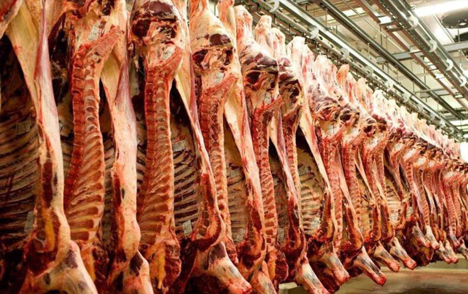 گۆشتفرۆشییەک لە تاران. 