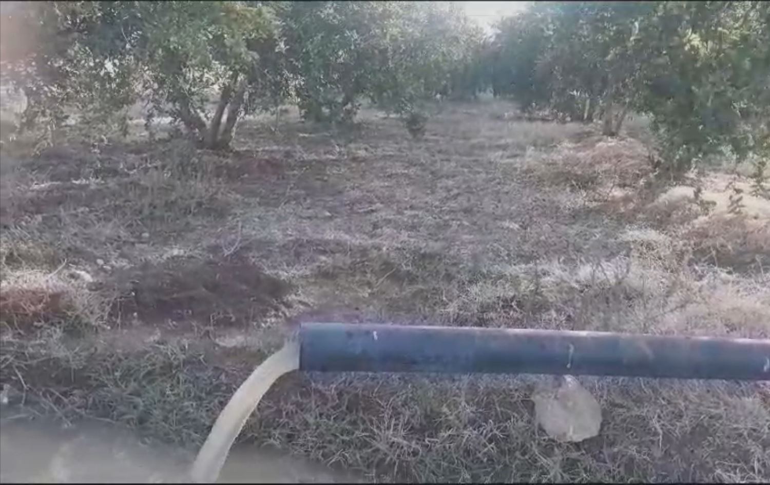 Efrîn: Grûpên opozîsyonê ava heyî jî ji bo zeviyên ku dest danîne ser bi kar tînin