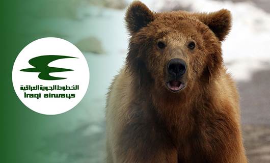 Iraqi Airways apologizes after escaped bear delays flight