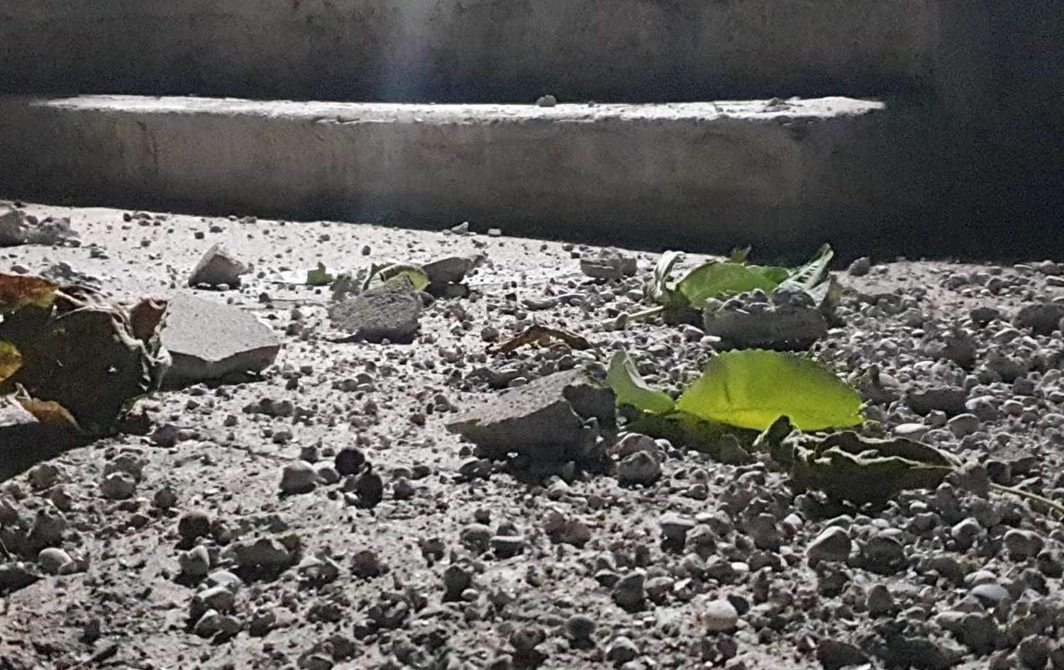 فڕۆکە جەنگییەکانی تورکیا سنووری دێرەلووک بۆردوومان دەکەن