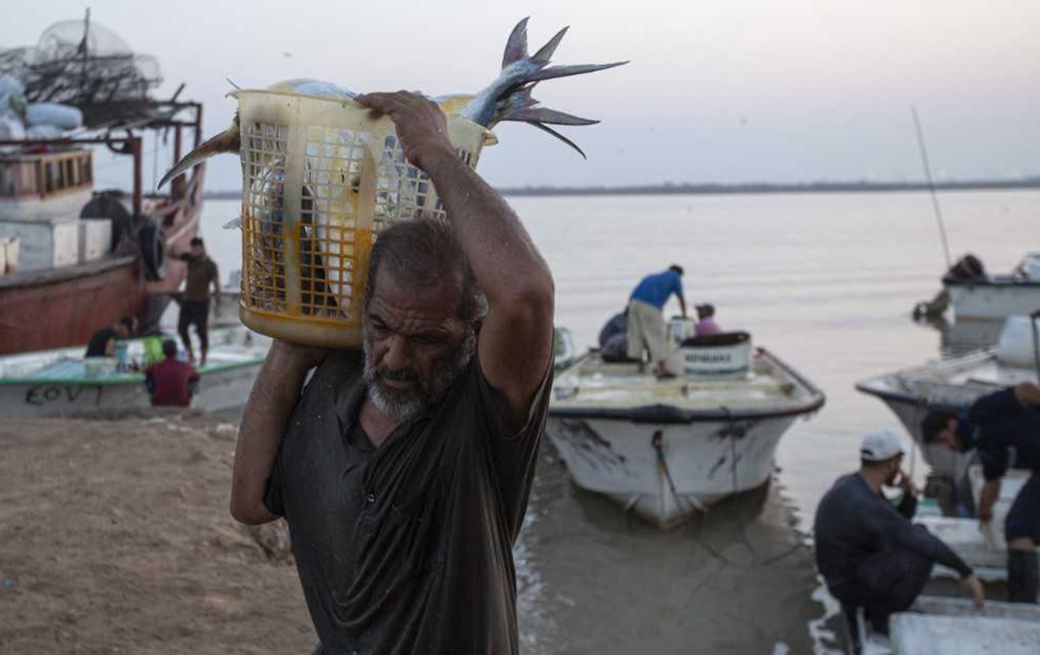 انخفاض كبير بكميات الأسماك في البصرة والصيادون يشكون قطع الكويت أرزاقهم