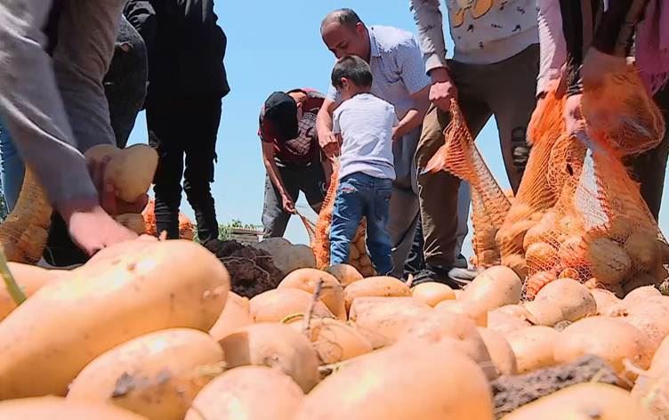 القنصل الإماراتي بأربيل: تصدير نحو 90% من محصول البطاطا في إقليم كوردستان