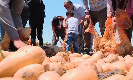 القنصل الإماراتي بأربيل: تصدير نحو 90% من محصول البطاطا في إقليم كوردستان