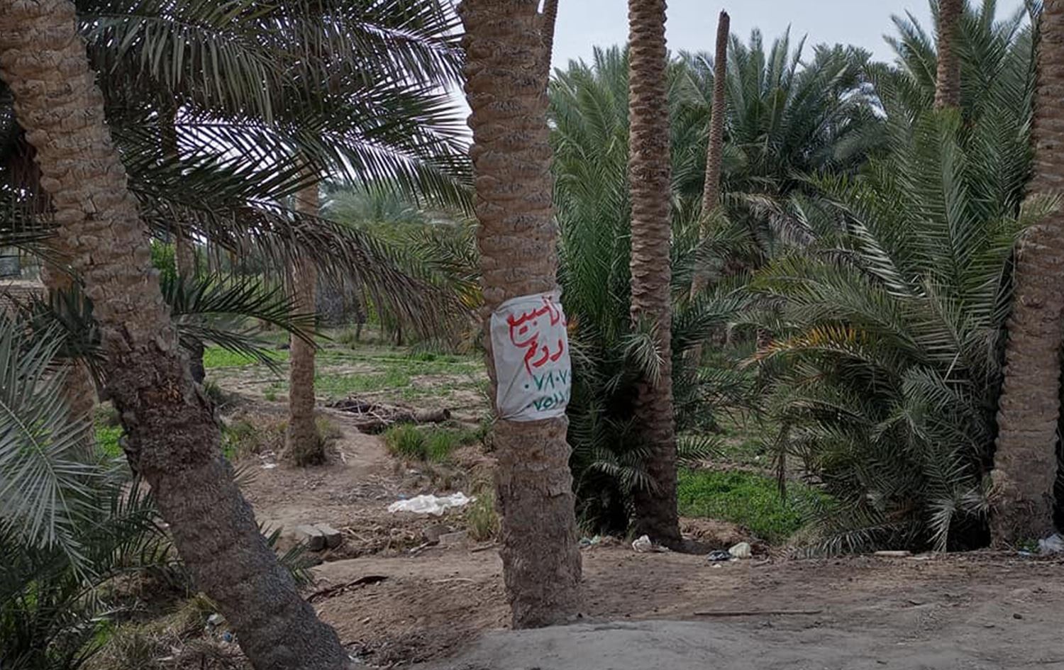 تجريف وتجاوز على 4500 دونم زراعي في ديالى