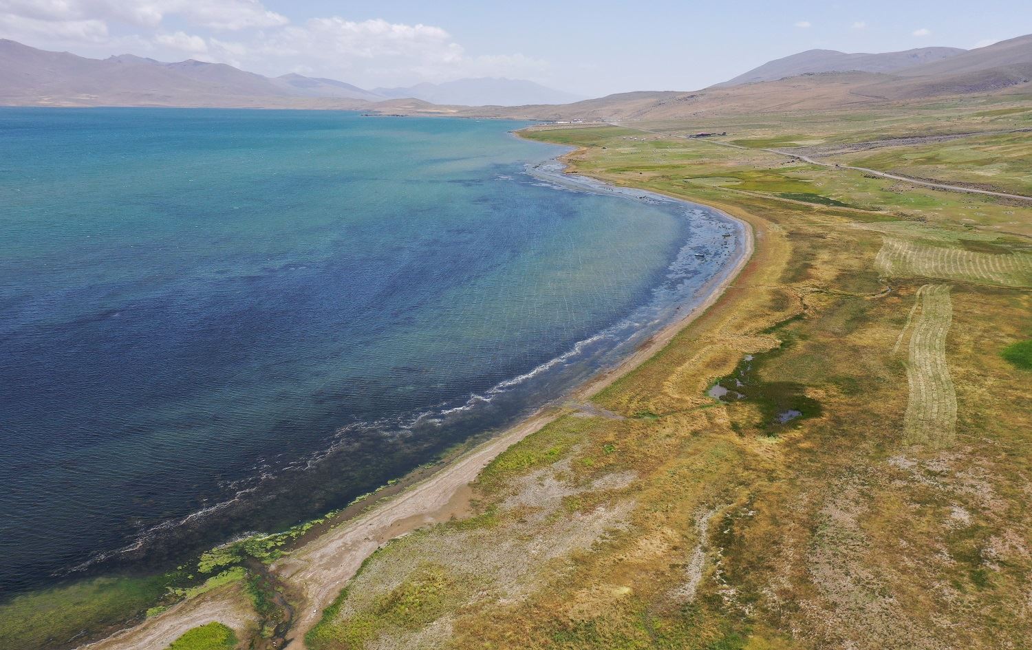 Ava Gola Masiyan a Agiriyê kêm bûye