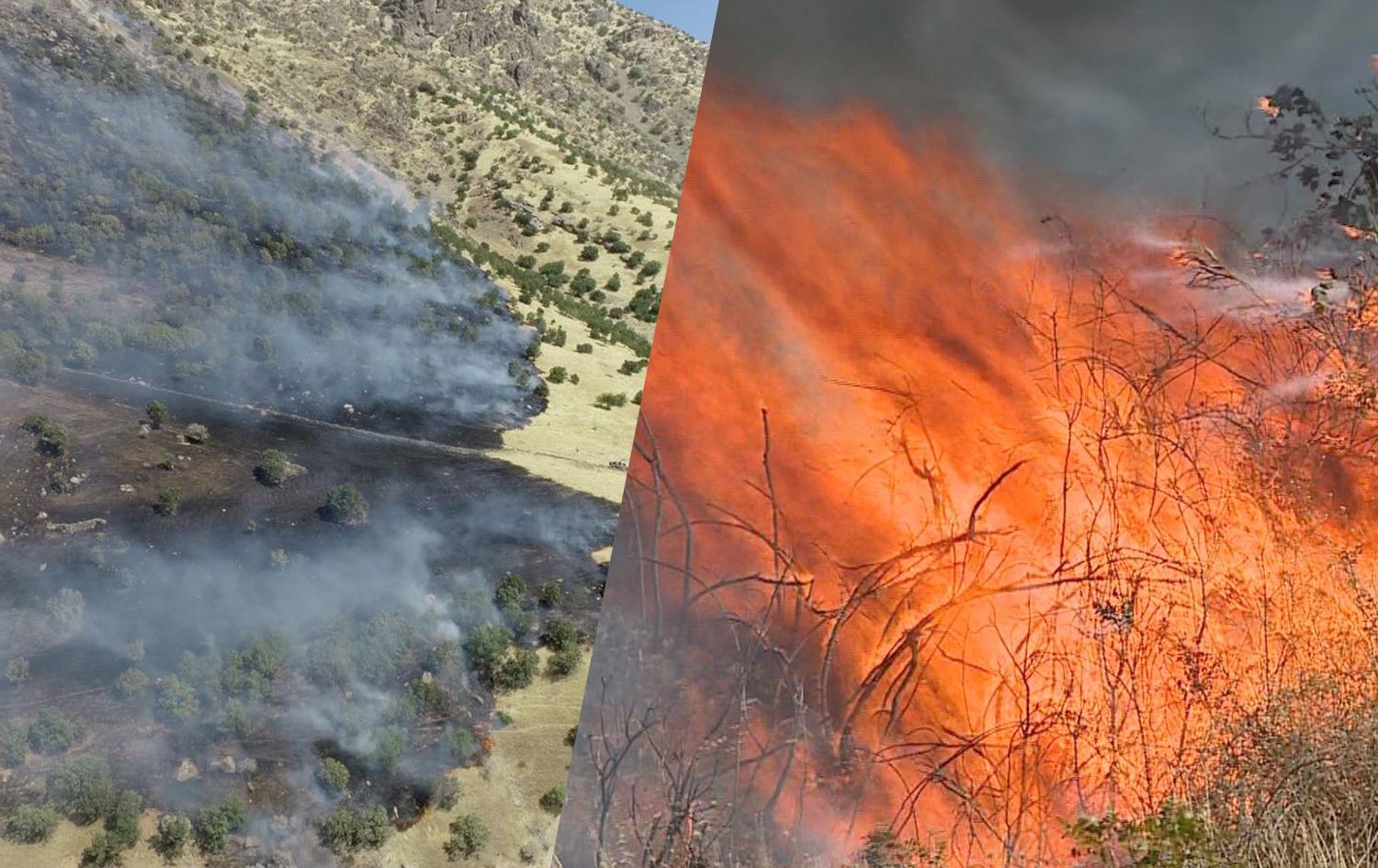 چەند دیمەنێکی ئاگرەکە، وێنە: ئەندام جەبار - رووداو