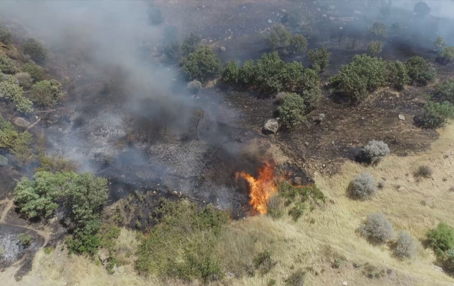 ئاگرکەوتنەوە لە دارستان و پاوانەکانی باڵەکایەتی