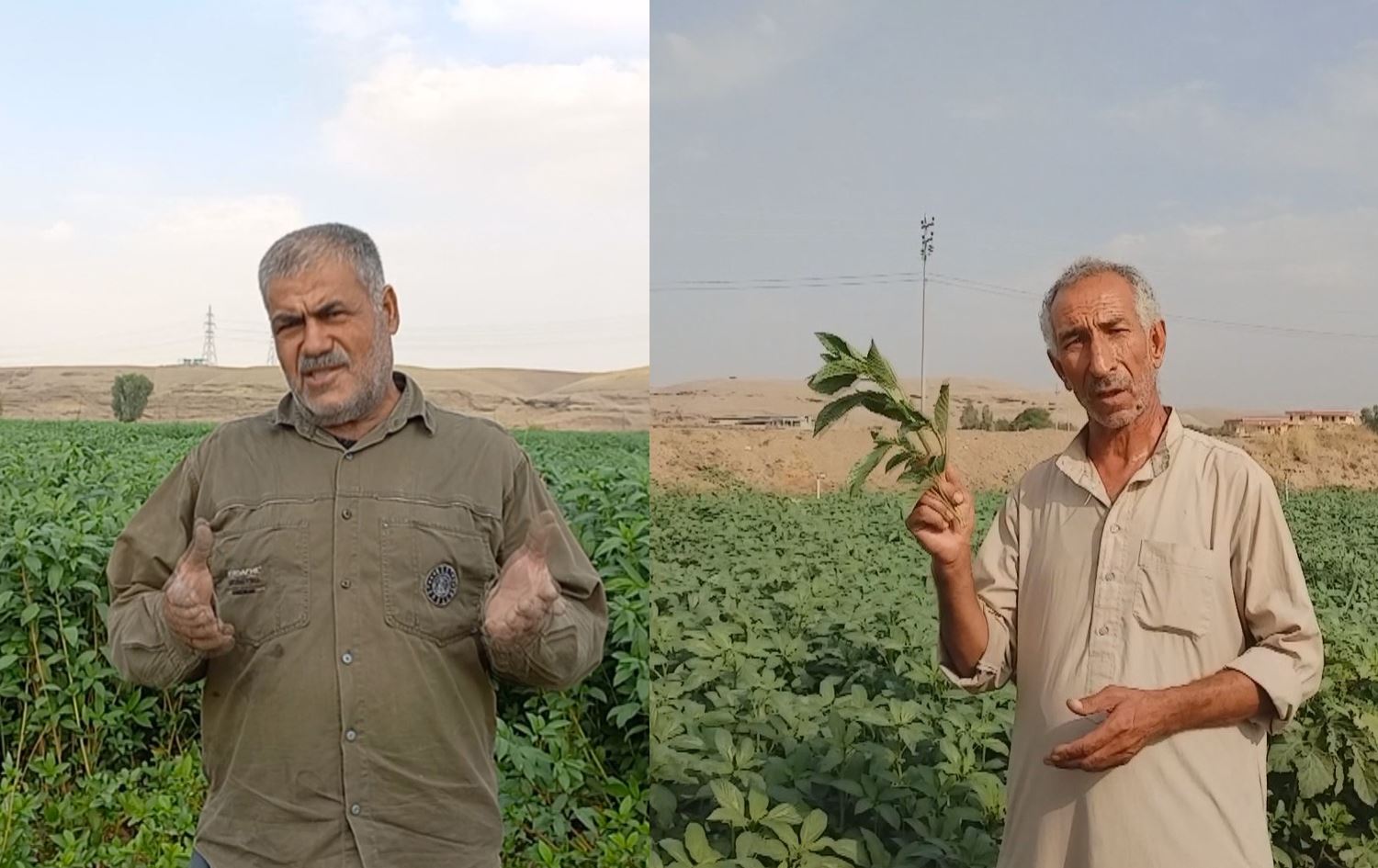 Penaberên ji Rojavayê Kurdistanê dixwazin Herêma Kurdistanê pêş ve bibin