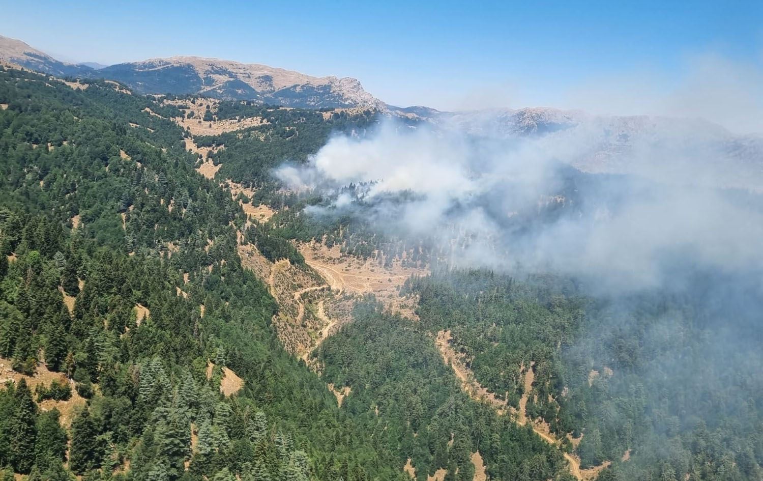 دیمەنی ئاگر لە دارستانی مەڕەش، وێنە: AA