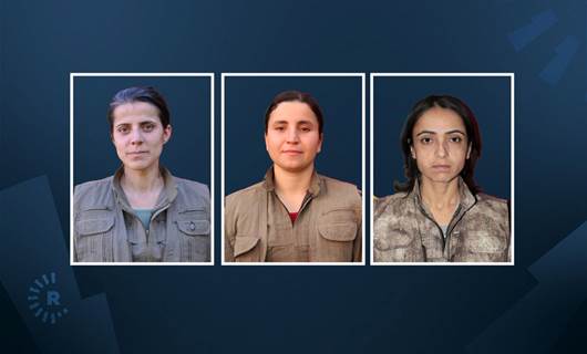 Hayatını kaybeden 3 PKK'li