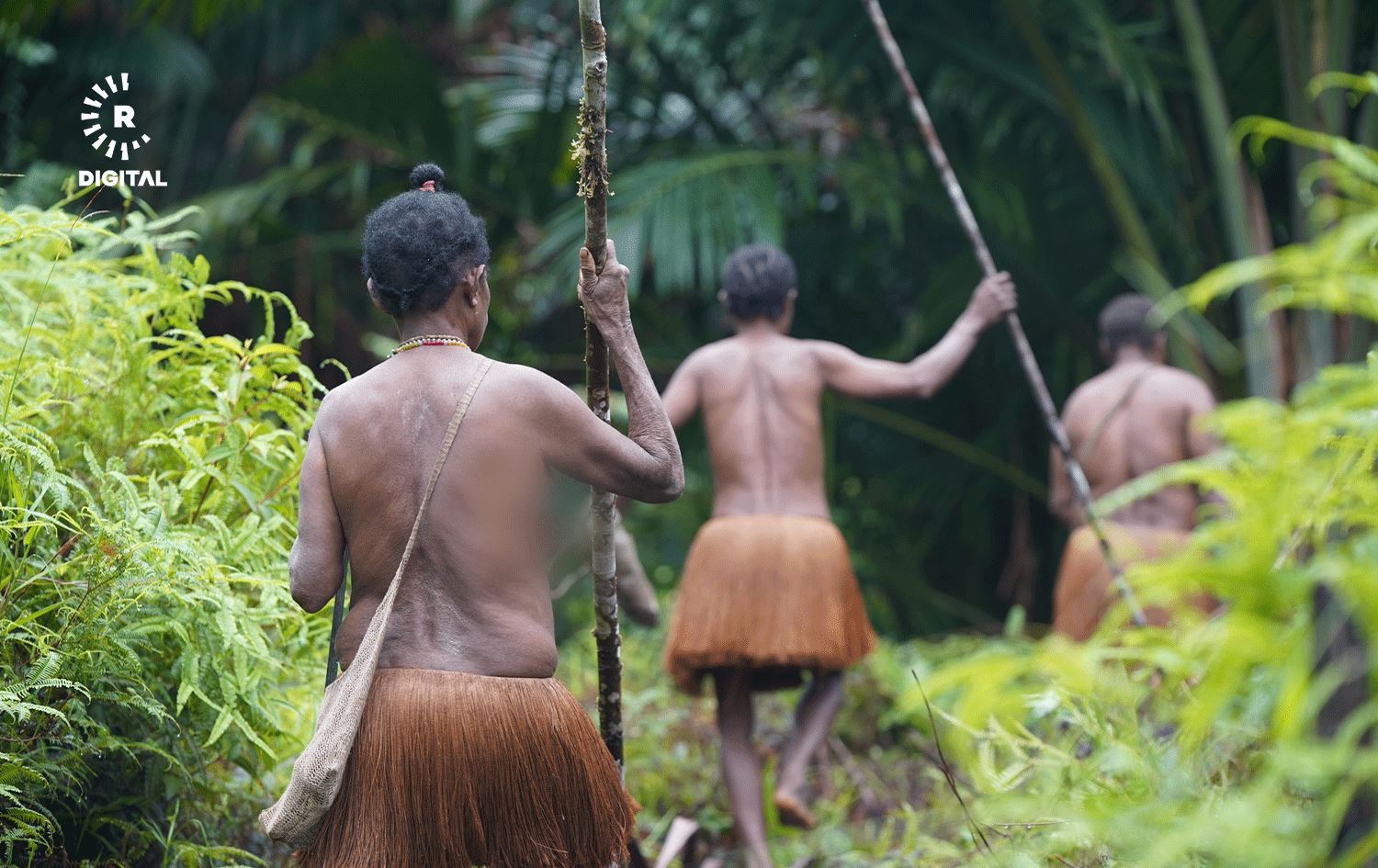 Korowai, êla ku bi teşeya beriya 11 hezar salan dijî