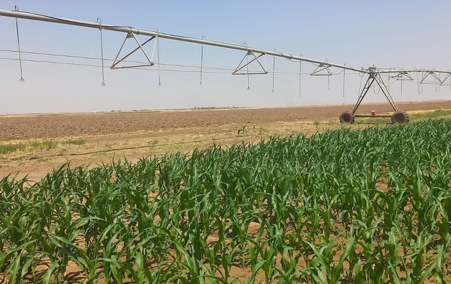 نينوى تطالب بغداد باستثنائها من الخطة الزراعية