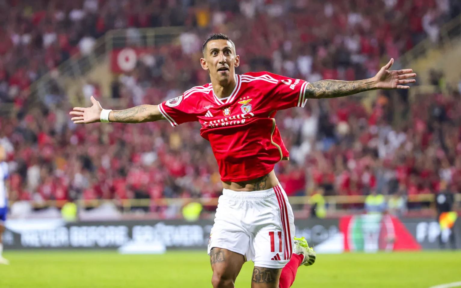 ئانخێل دیماریا