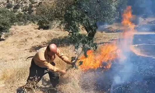 اندلاع حريق في غابات قرية سركلي بدهوك جراء القصف التركي