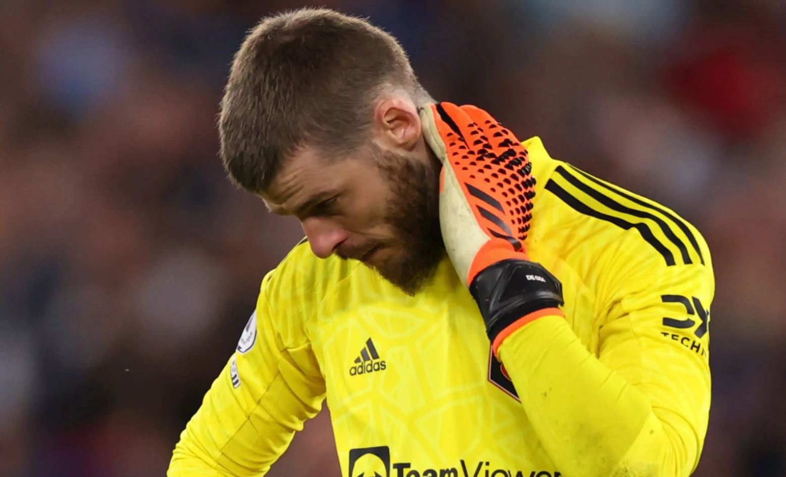 داڤید دی خیا