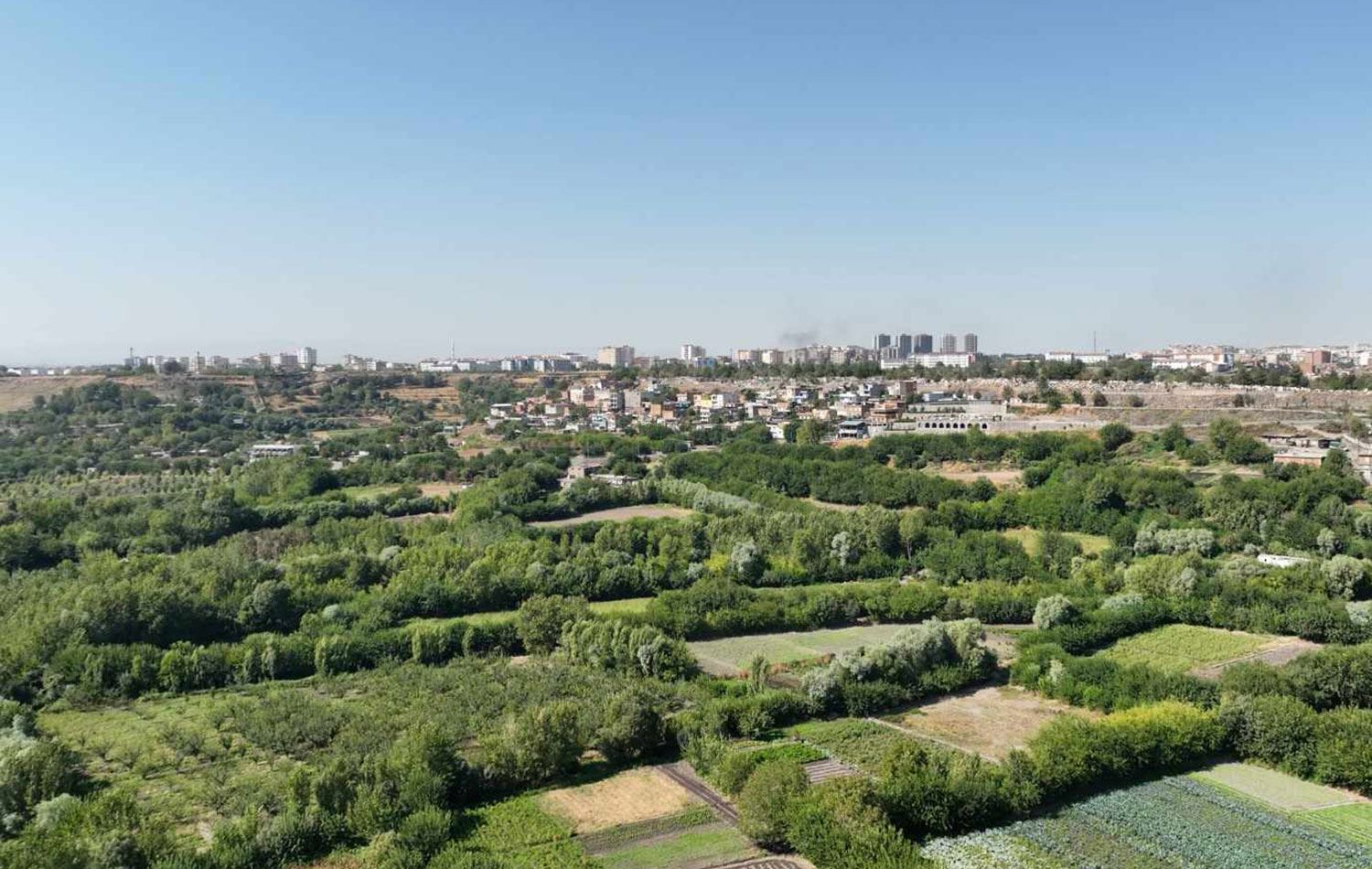 Foto: Hevsel Bahçeleri / Gastro İnovasyon Merkezi 