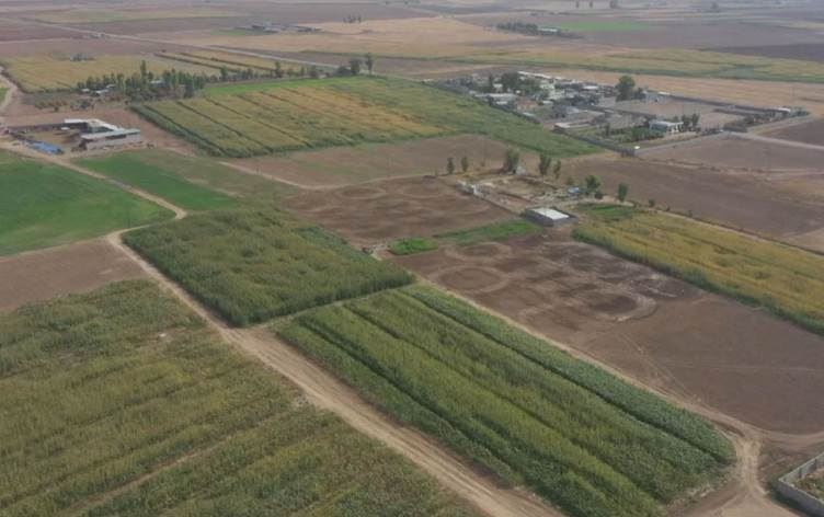 سركران تخاطب زراعة كركوك لإبطال 424 عقداً لوافدين عرب