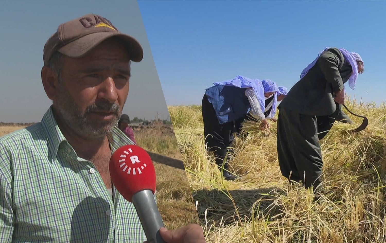 Li Amedê dirûna birincê Qerejdaxê dest pê kir