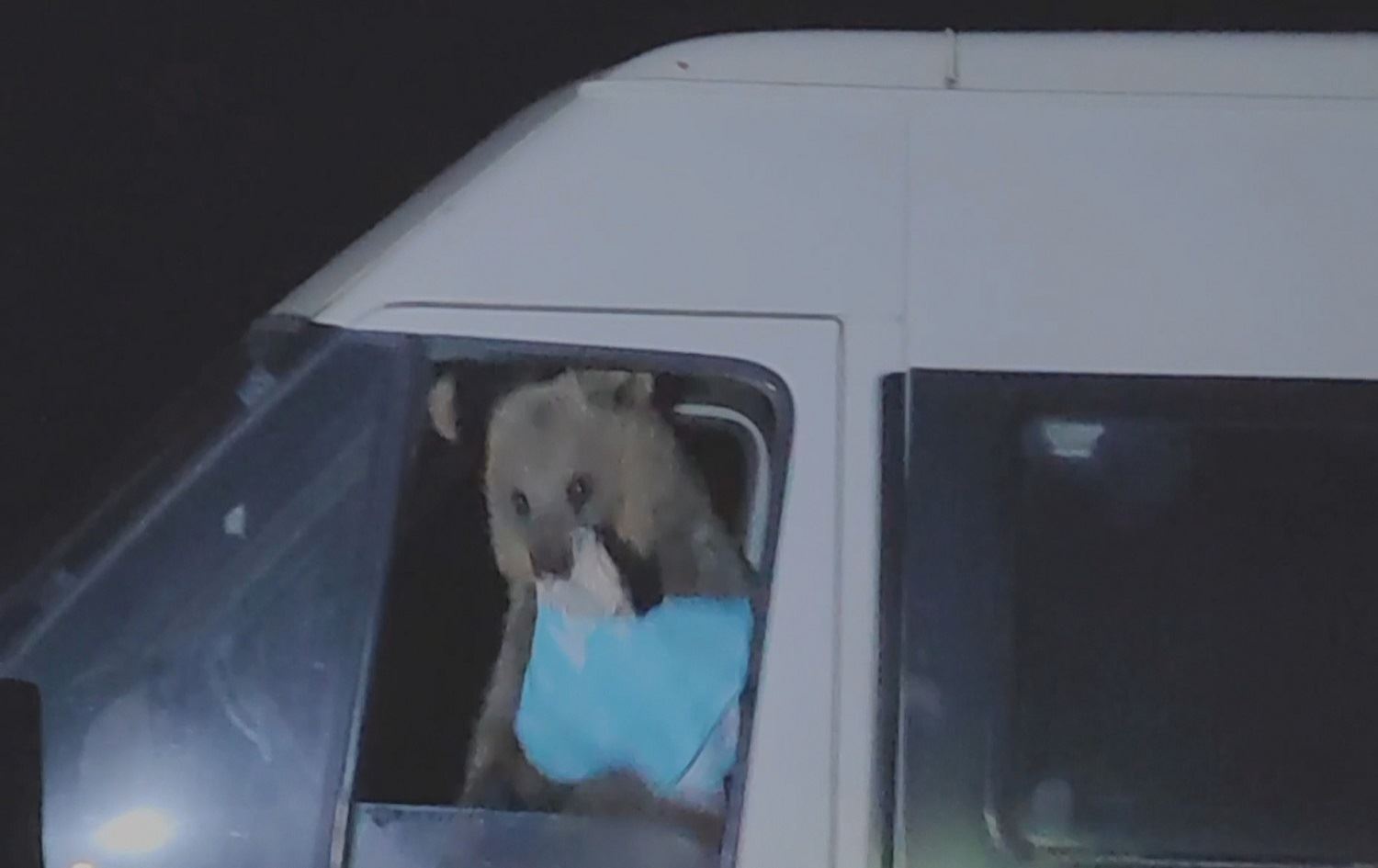 Hirç fêrî mirovan bûne