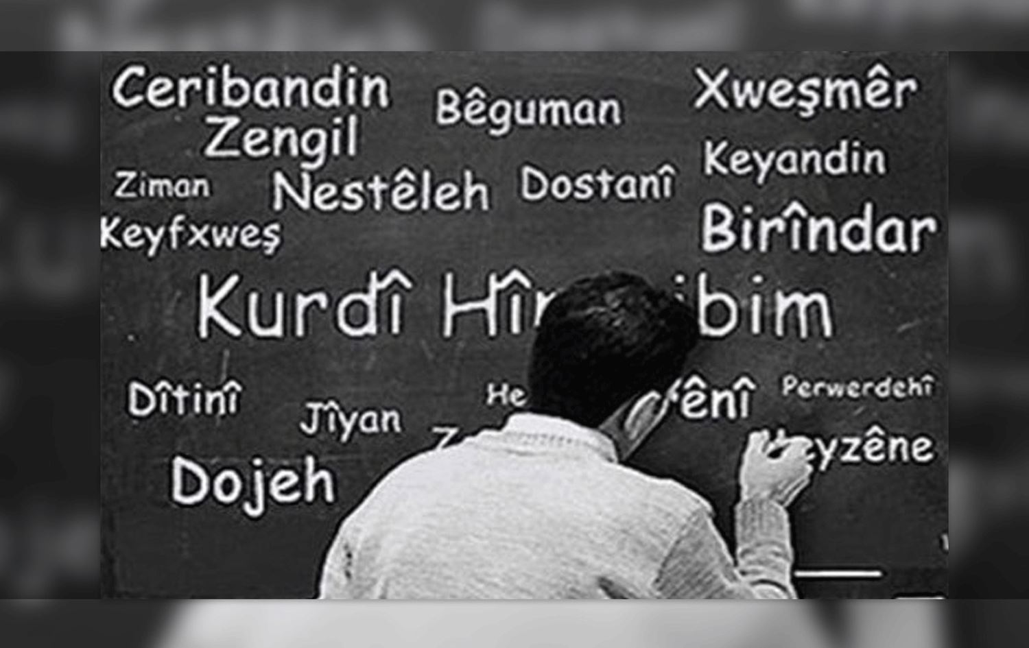 Li Stenbolê kîjan sazî kursên Kurdî didin? / Wêne: Arşîv