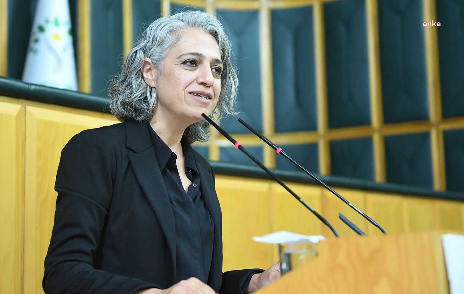 Yeşil Sol Parti Eş Sözcüsü Çiğdem Kılıçgün Uçar / ANKA