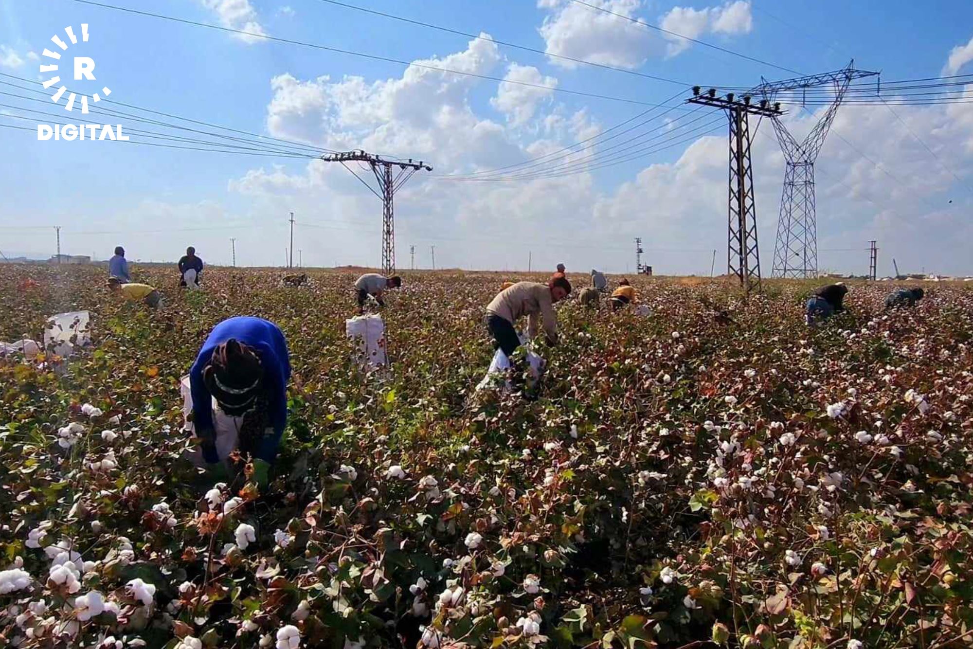 Wêne: Abdulselam Akinci/Rûdaw