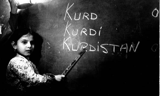 Kürt STÖ'lerden cumhuriyetin 100. yıl dönümü mesaj