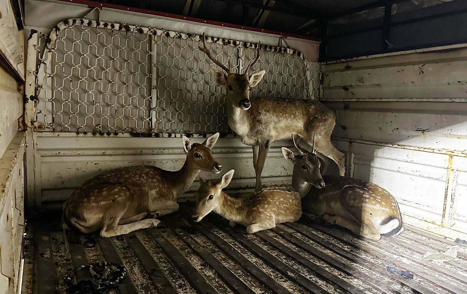 Foto:Hakkari Valiliği