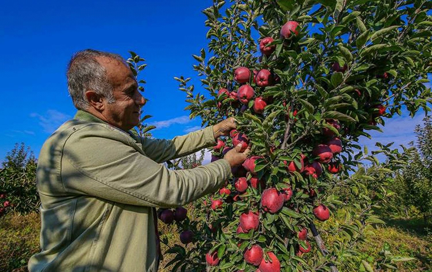  Prof. Dr. Fîkret Yaşar / Wêne: AA