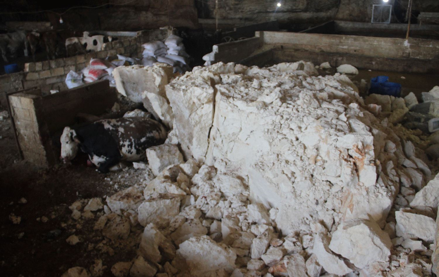 Li Rihayê şikeft bi ser dewaran de herifî / Wêne: AA