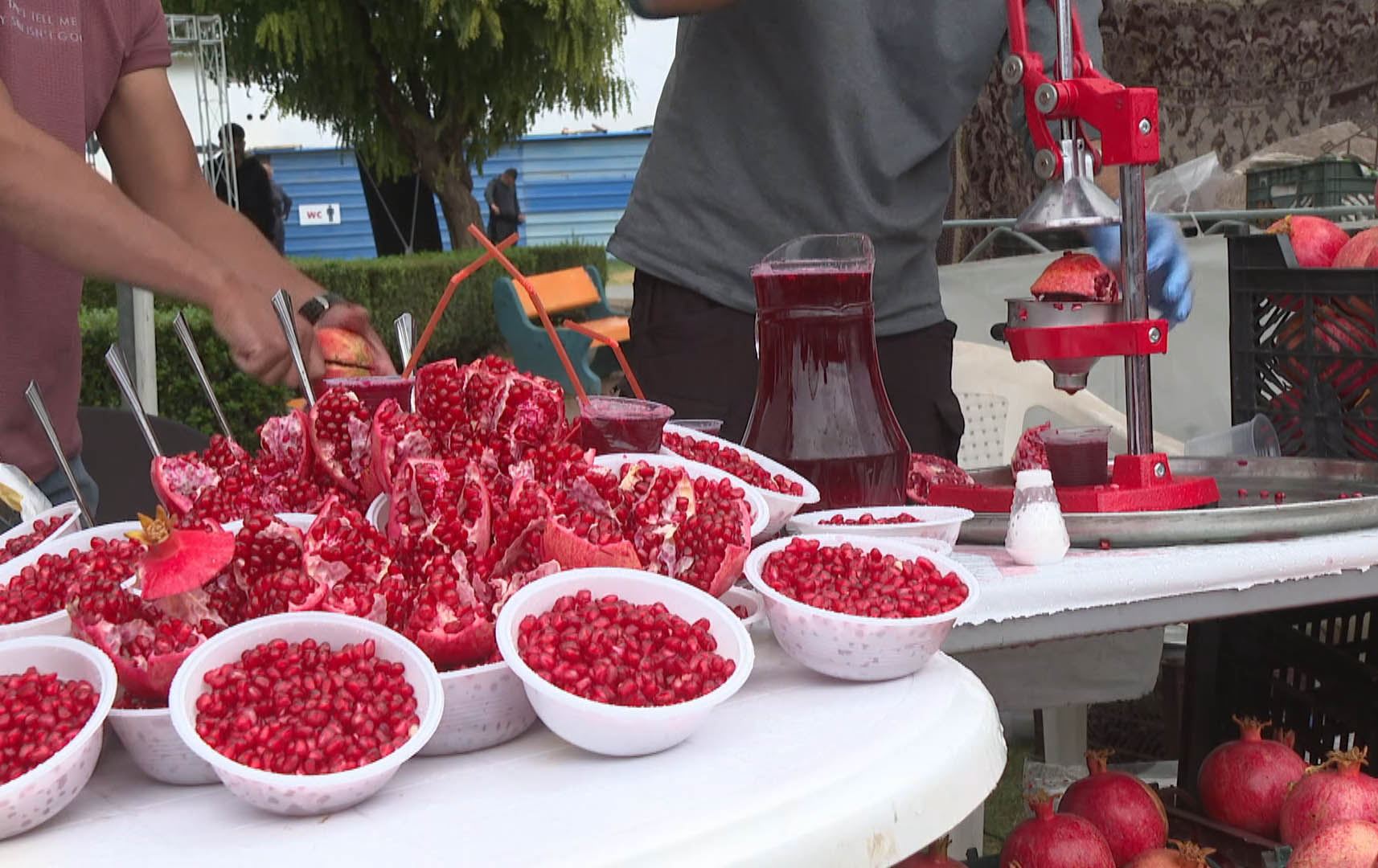 نۆیەمین فێستیڤاڵی هەنار لە هەڵەبجە