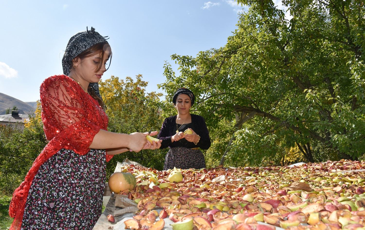 Li Colemêrgê hinek jinan kooperatîfek ava kiriye