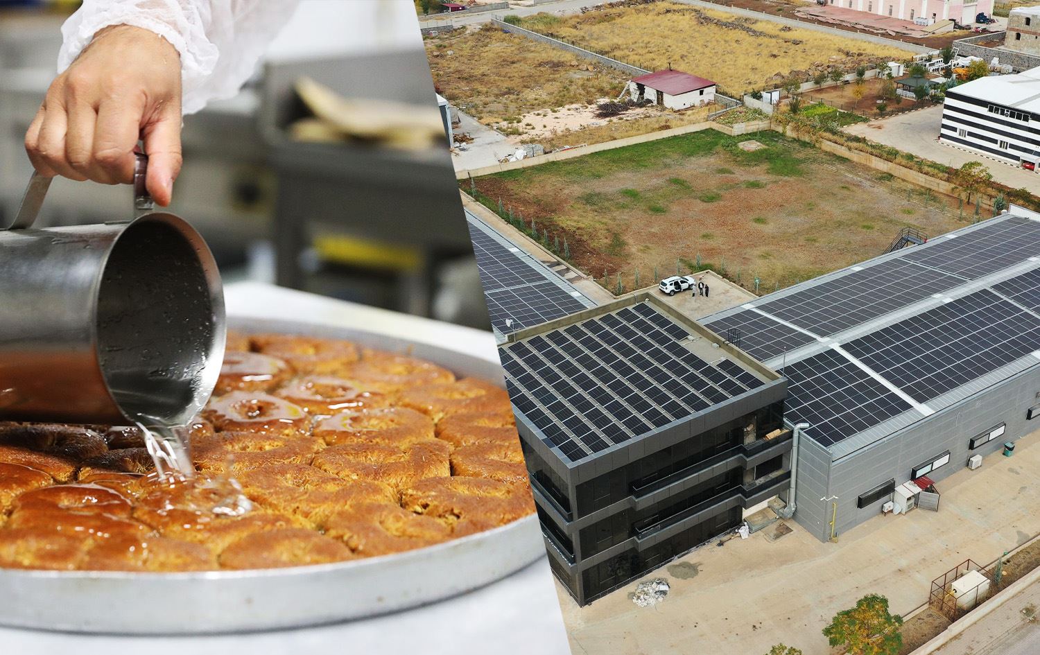 Wêne: Rûdaw Grafîk