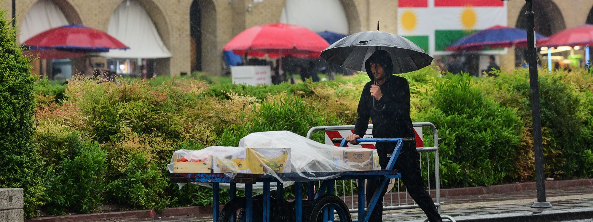 صور.. بدء موسم المطر في أربيل