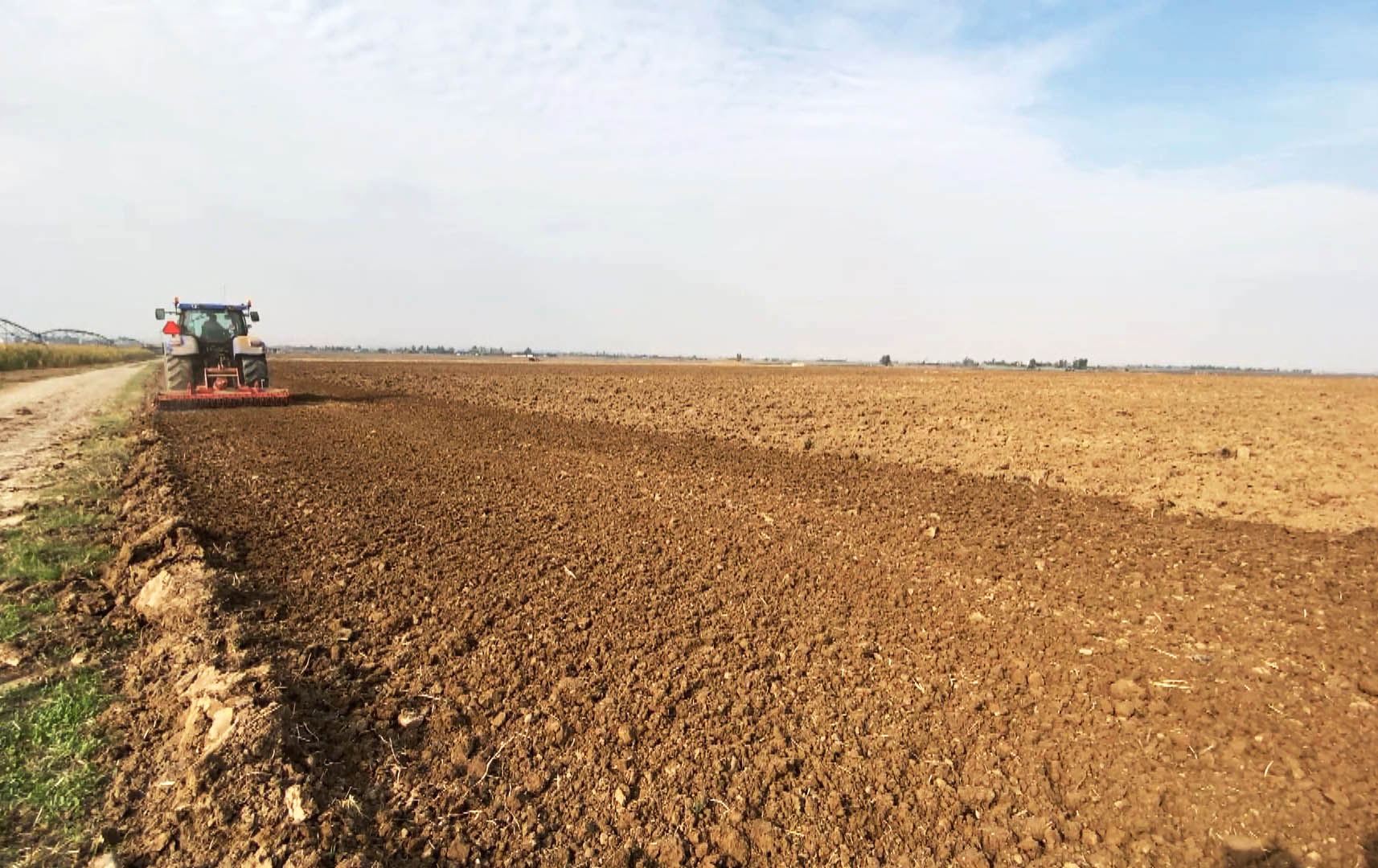 کۆگەکانی بنەتۆو لە هەرێمی کوردستان بەتاڵن