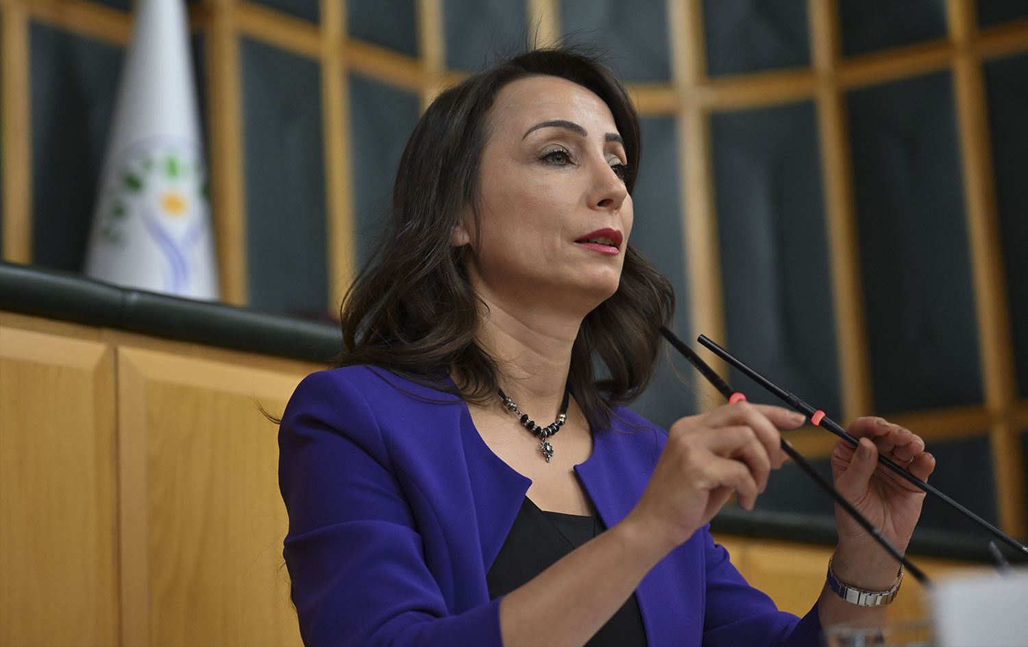 Hevseroka HEDEPê Tulay Hatimogullari 