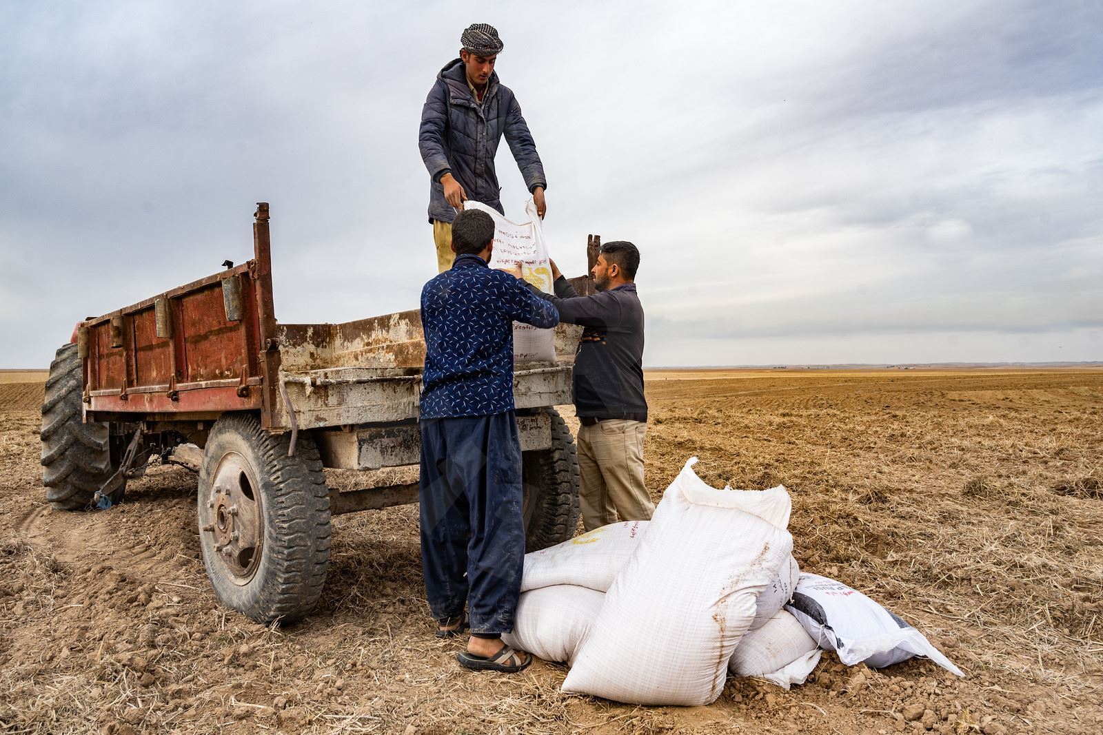 یەکێتیی جووتیاران: حکومەت هیچ هاوکارییەکی جووتیاران ناکات