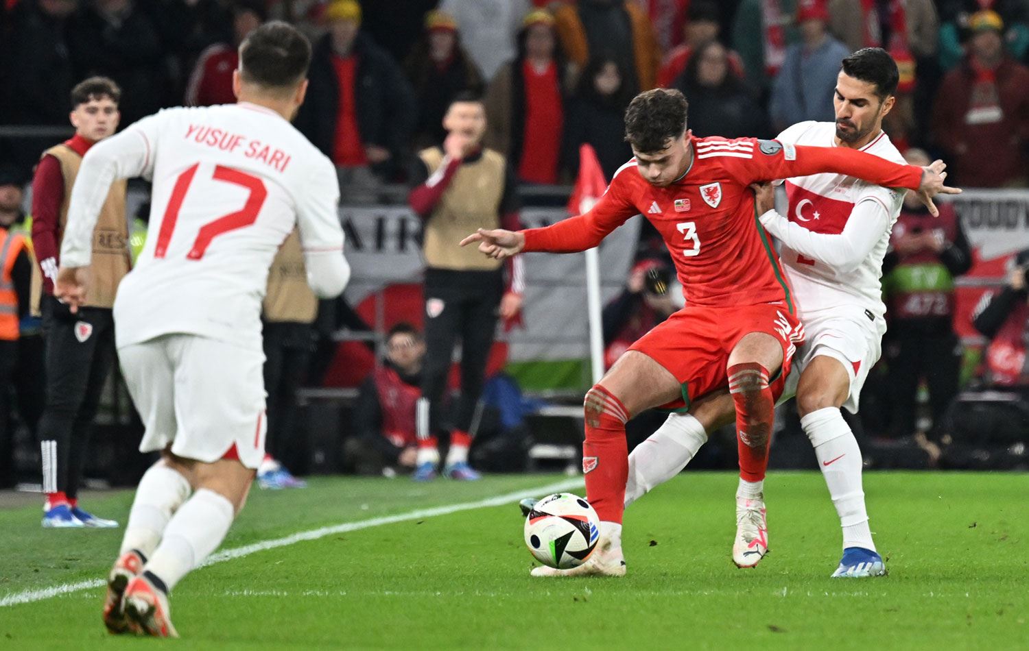Türkiye-Galler maçından bir an / AA