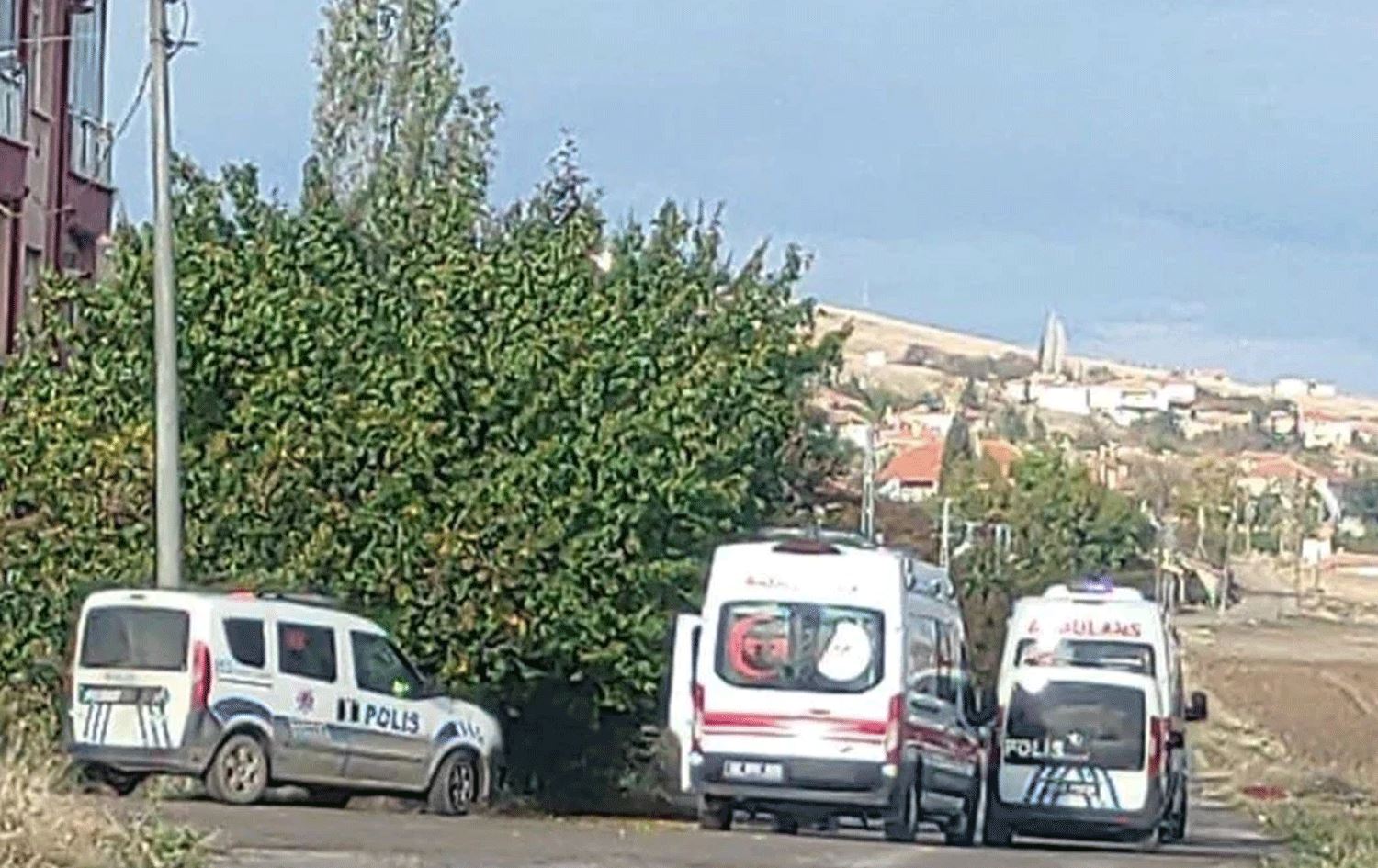 Bûkê qirika xesûya xwe birî û ew kuşt / Wêne: DHA