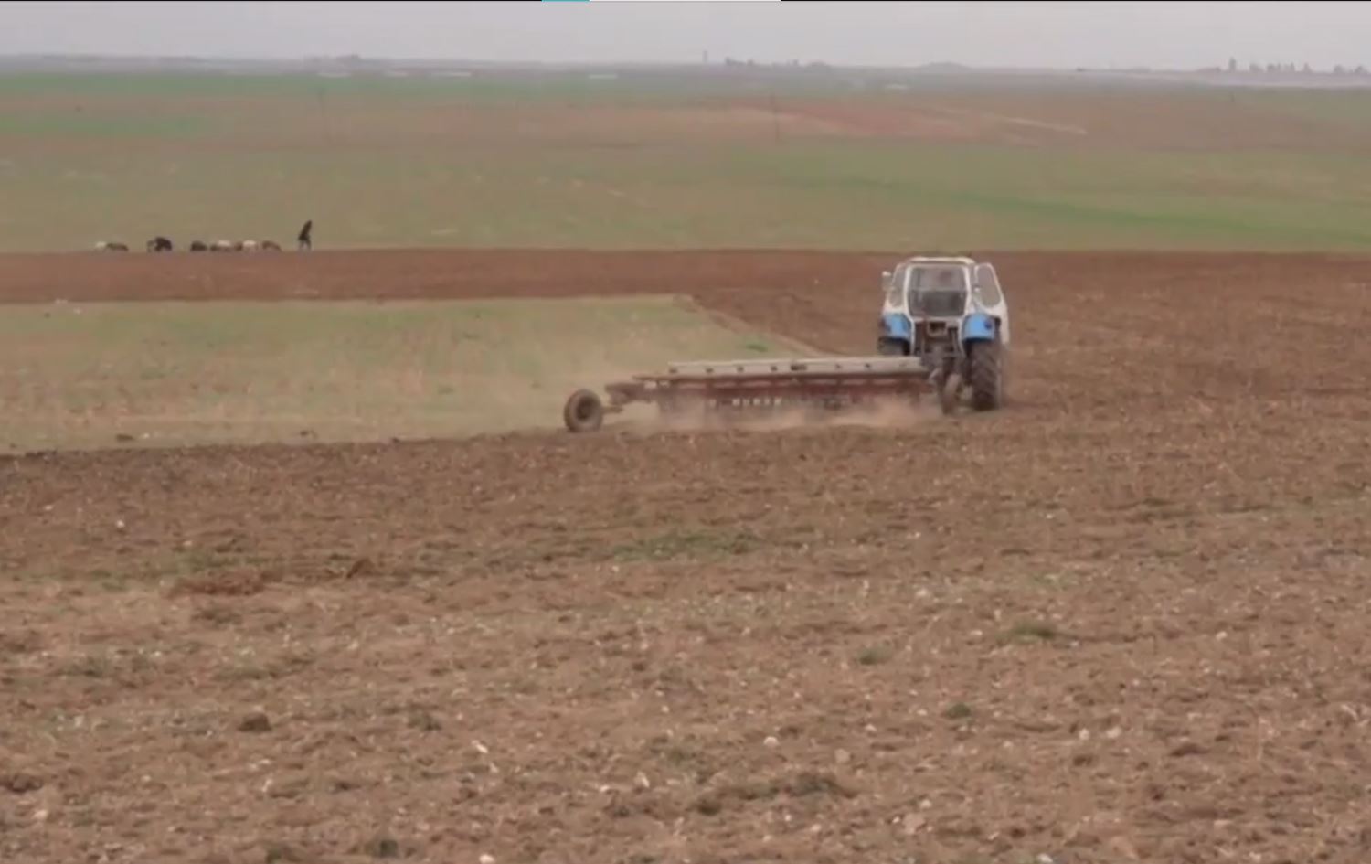 Cotkarên Rojavayê Kurdistanê dest bi çandiniyê kiriye