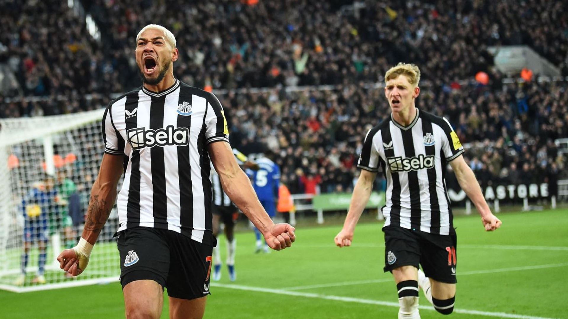 نیوکاسڵ یونایتد