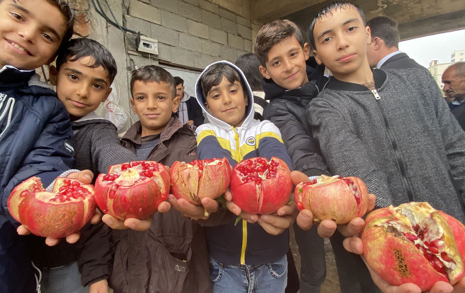 Karaz narı Kocaköy ilçesinin simgesi (AA)