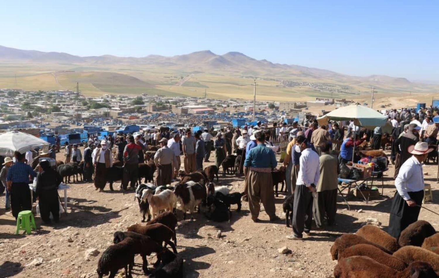 وێنەیەکی ئەرشیڤیی یەکێک لە مەیدانەکانی ئاژەڵانی مهاباد